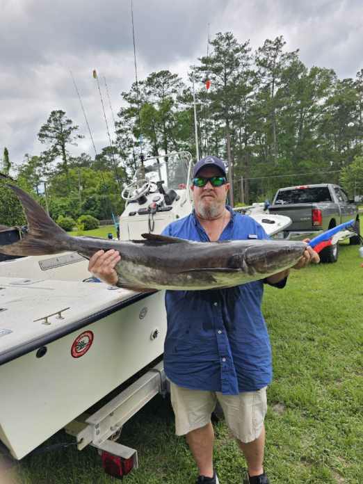 45# cobia